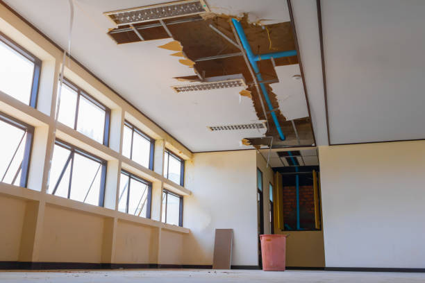 Best Water damage restoration near me  in Pontotoc, MS