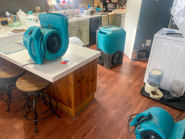 Best Ceiling water damage repair  in Pontotoc, MS