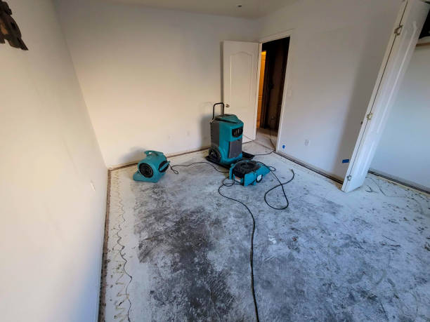 Best Flooded house restoration  in Pontotoc, MS