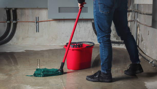 Best Water damage contractors near me  in Pontotoc, MS