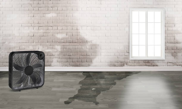 Best Water damage contractors near me  in Pontotoc, MS