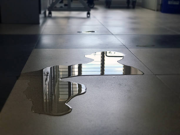 Best Commercial water damage restoration  in Pontotoc, MS