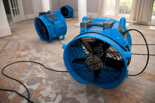 Best Emergency water damage restoration  in Pontotoc, MS