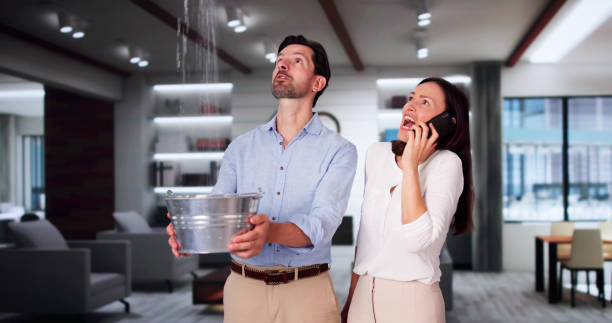 Best Water damage restoration services  in Pontotoc, MS