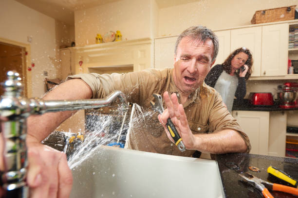Best Mold removal after water damage  in Pontotoc, MS